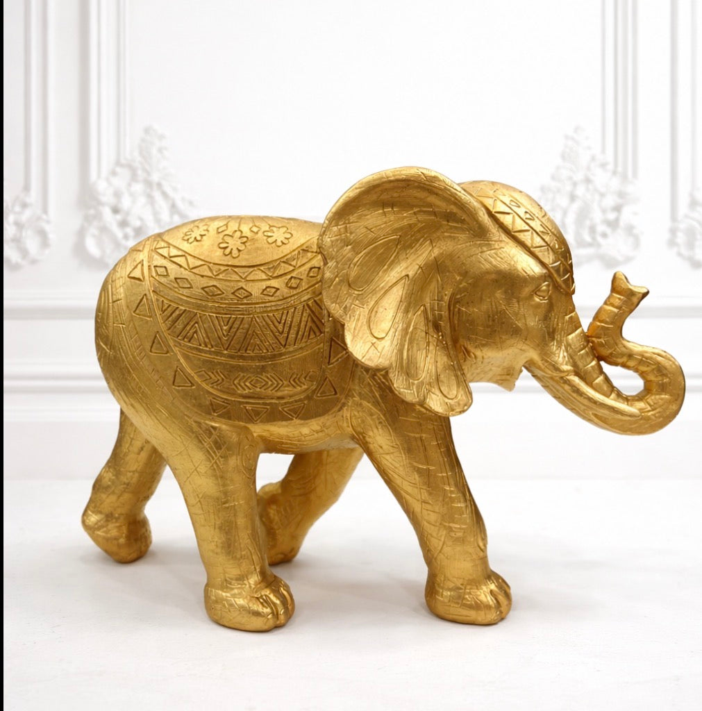 Elefante con textura