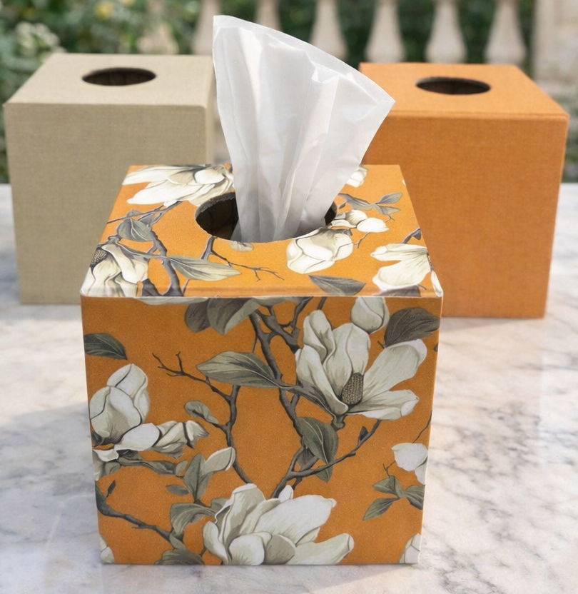 Caja para pañuelos desechables