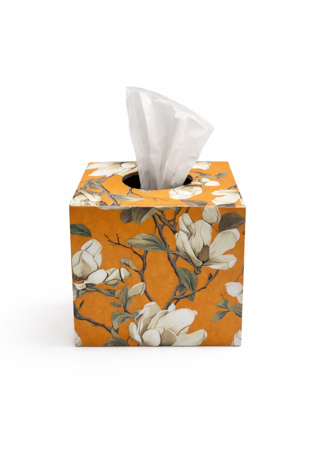 Caja para pañuelos desechables