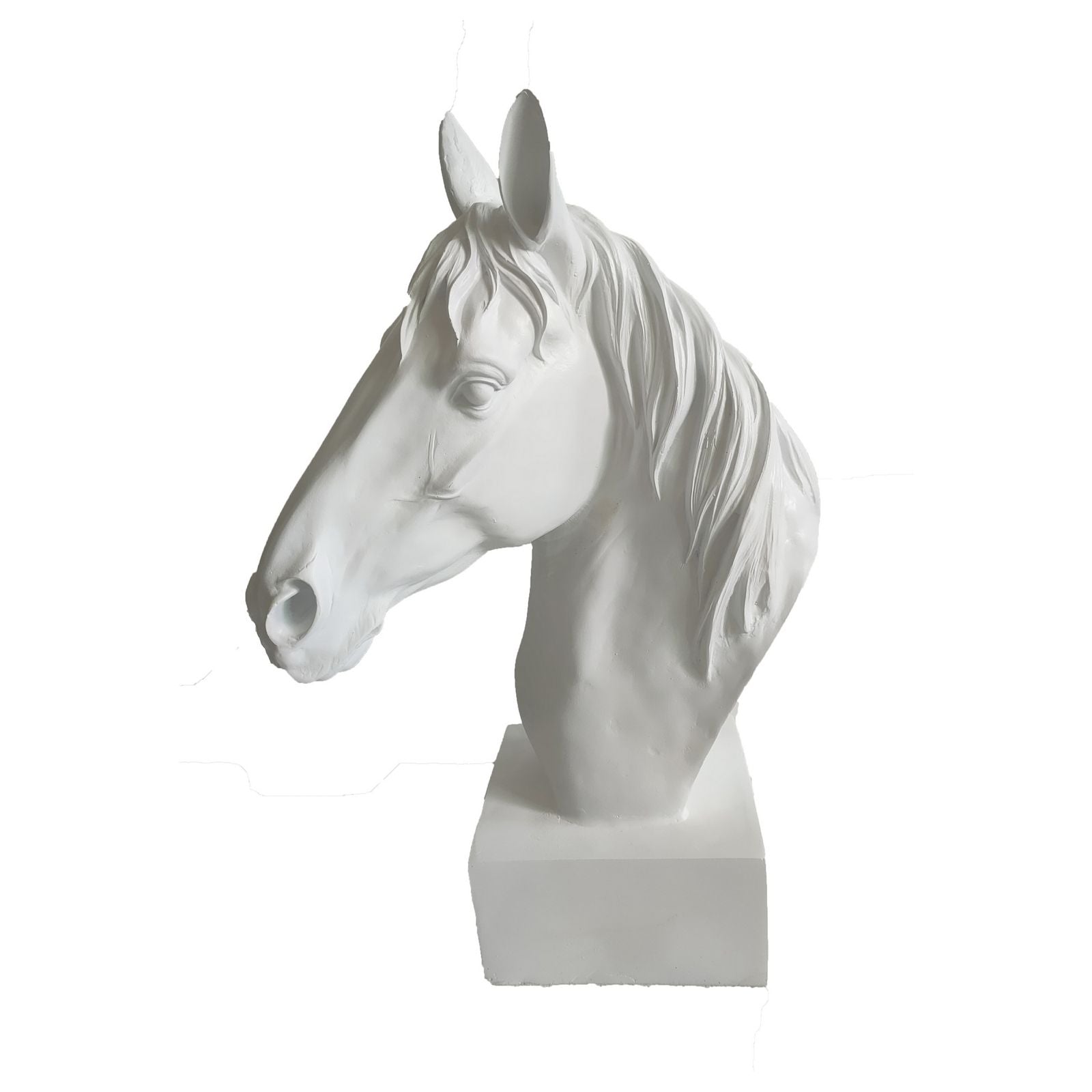 Cabeza Caballo Blanco