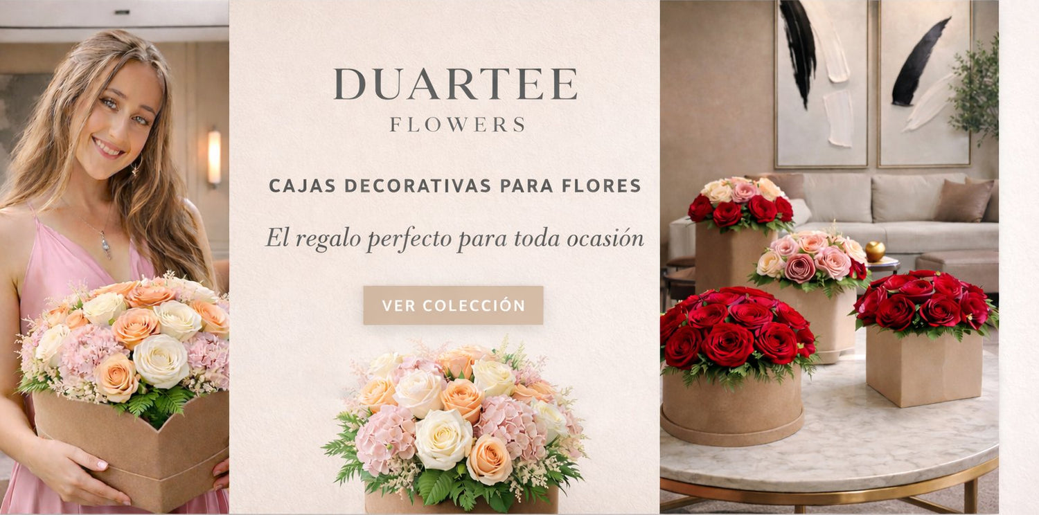 Duartee & Co