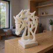 Cabeza Caballo Blanco