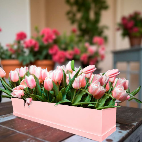 Caja para Flores Rectangular Rosa