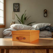 Caja organizadora para closet Mud