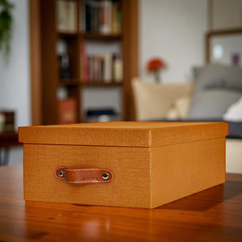 Caja organizadora para closet Mud