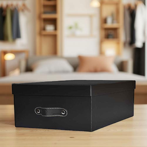 Caja organizadora para closet Vanol Negro
