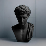Figura Zenda