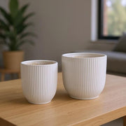 Maceta Blanca Rayas - Mediana