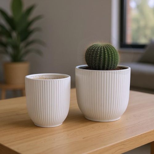 Maceta Blanca Rayas - Mediana