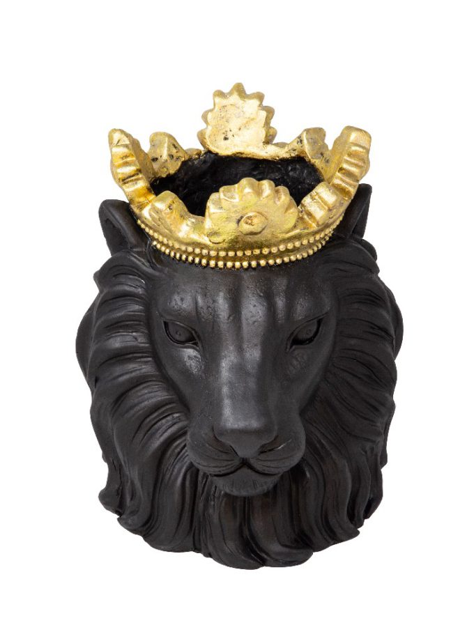 leon negro corona duartee