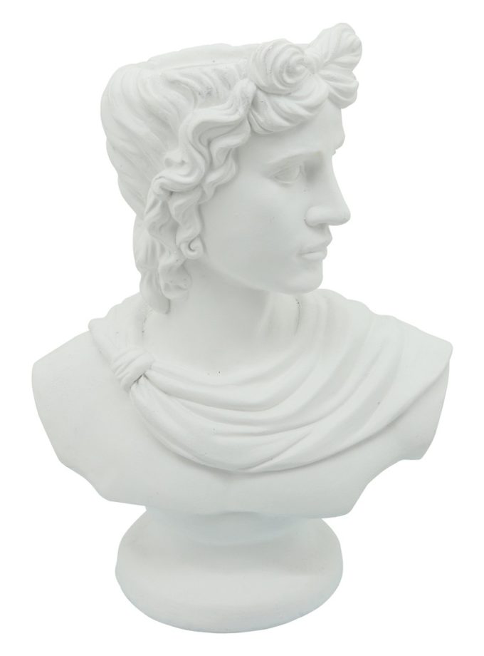 16241 busto david